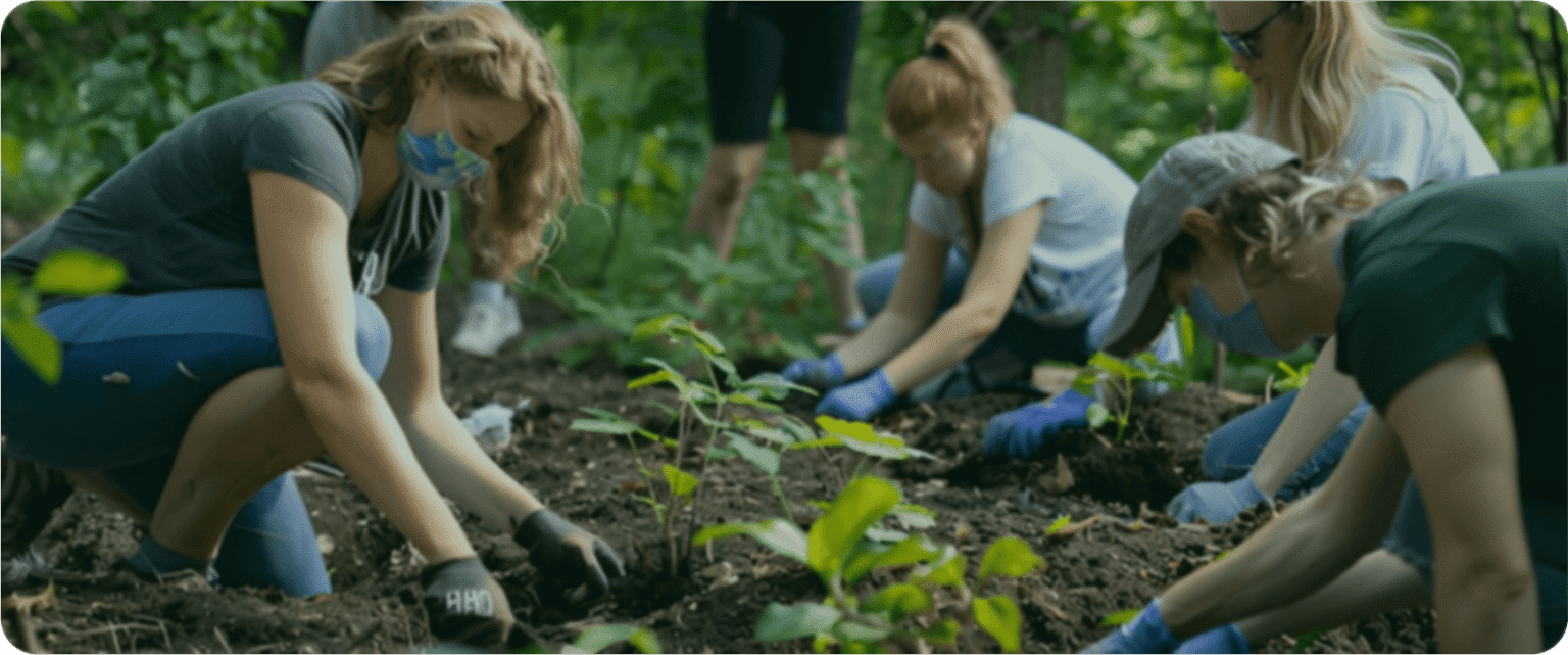 Organic Agarwood plant cultivation and sustainable tree plantation in India
